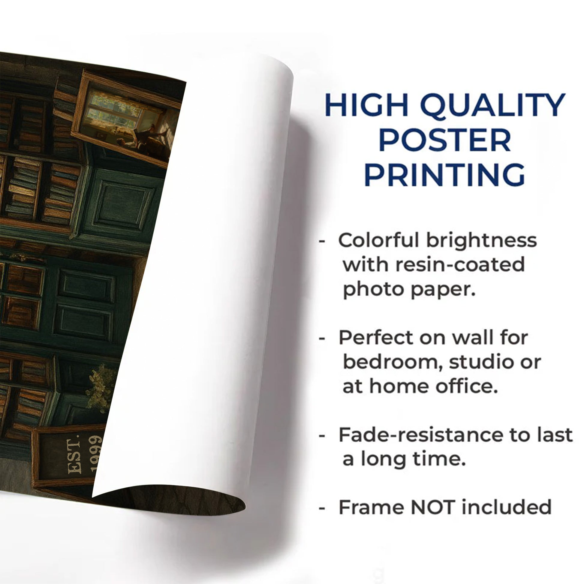 Lucia's Bookstore A Place Where Stories Live