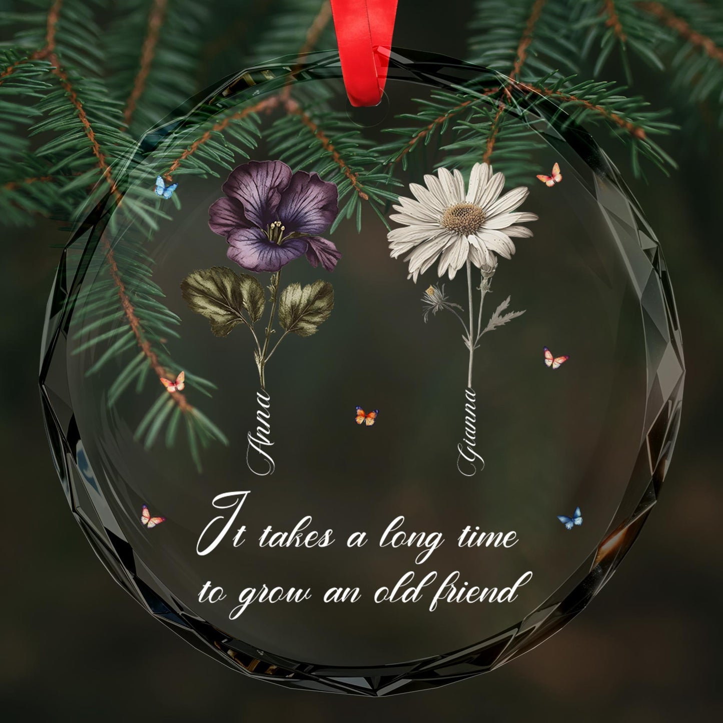 It Takes A Long Time To Grow An Old Friend Circle Ornament