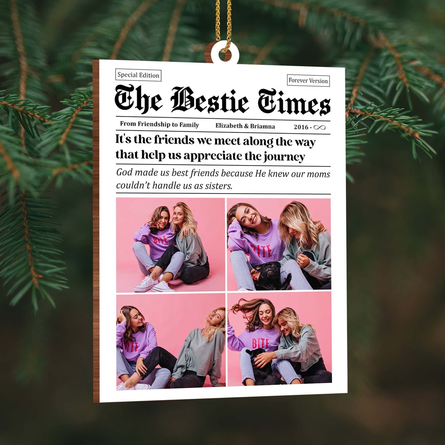 Appreciating The Journey Best Friends Photos Ornament
