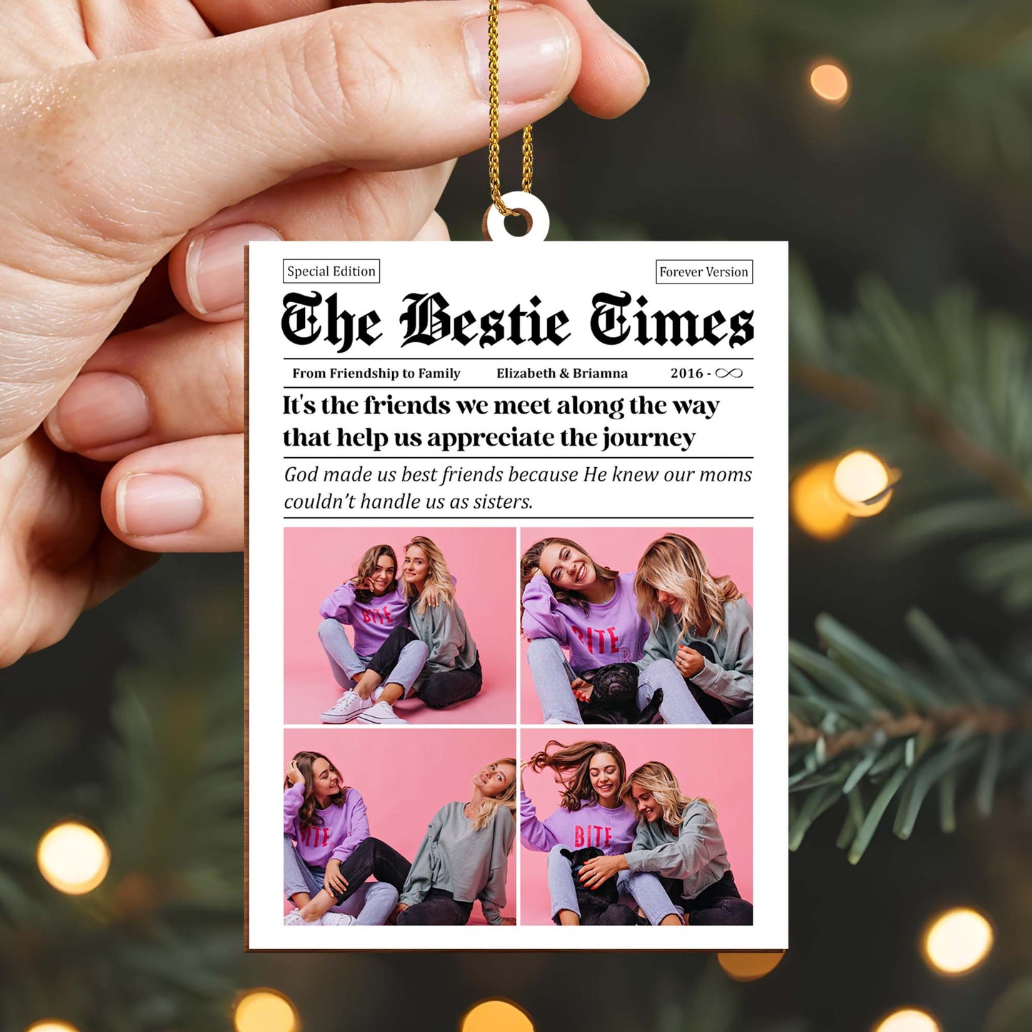 Appreciating The Journey Best Friends Photos Ornament