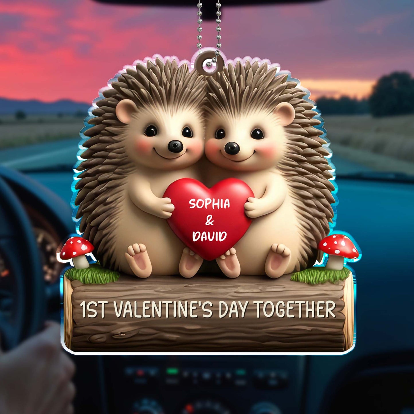 First Valentine's Day Together With Cute Hedgehogs