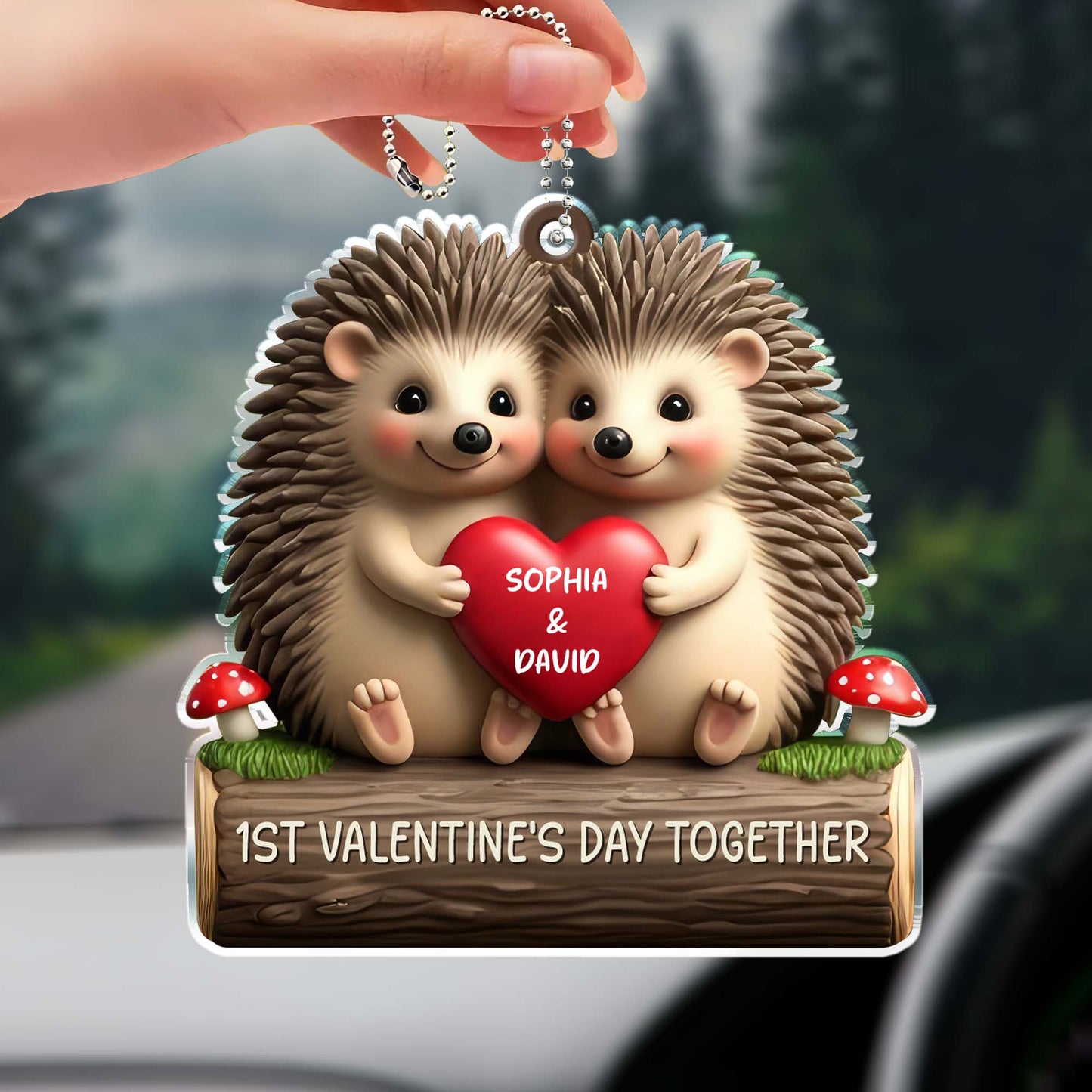 First Valentine's Day Together With Cute Hedgehogs