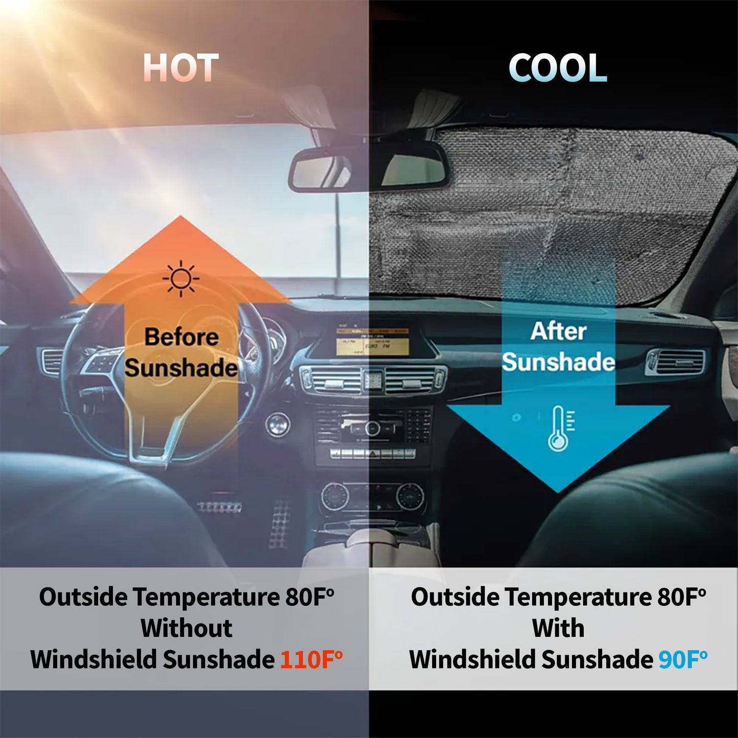 Brighten Your Drive With Pawesome Friends, Dogs