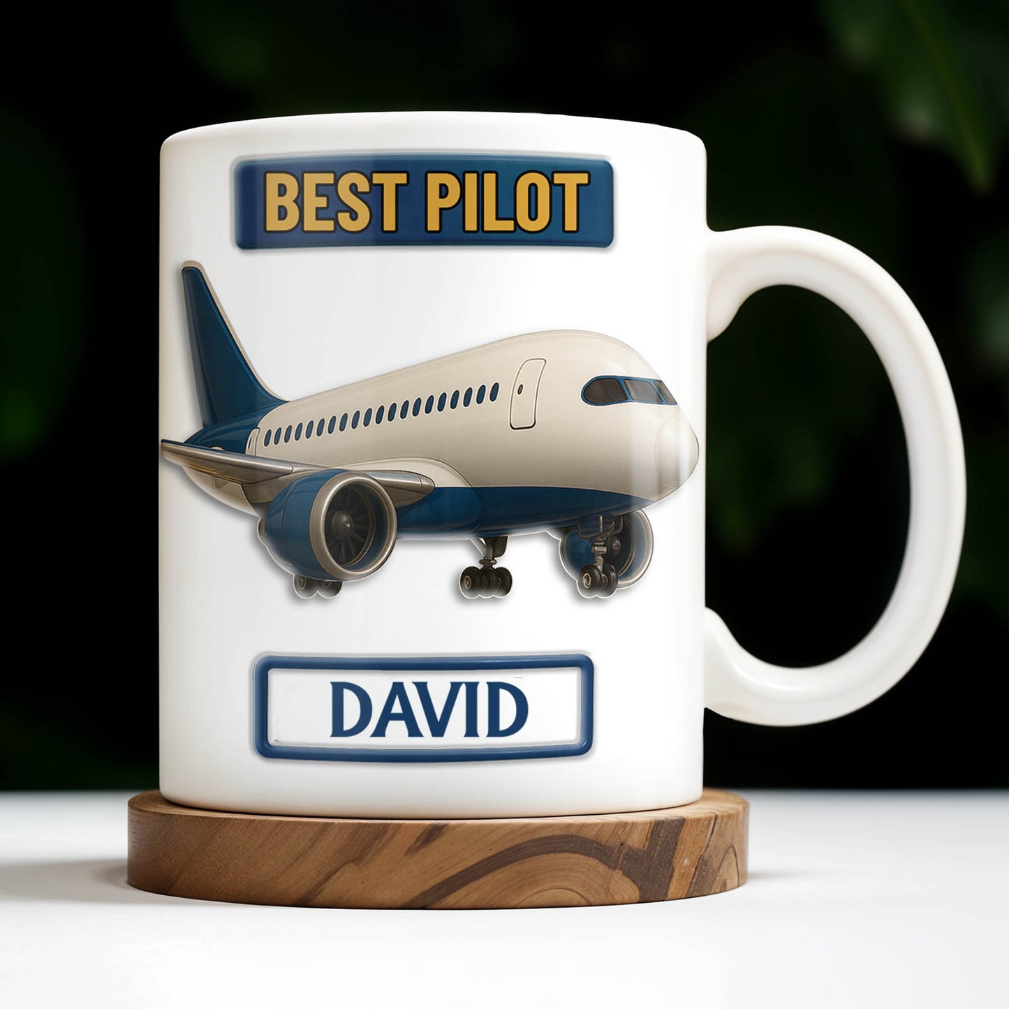Best Pilot Airplane Design