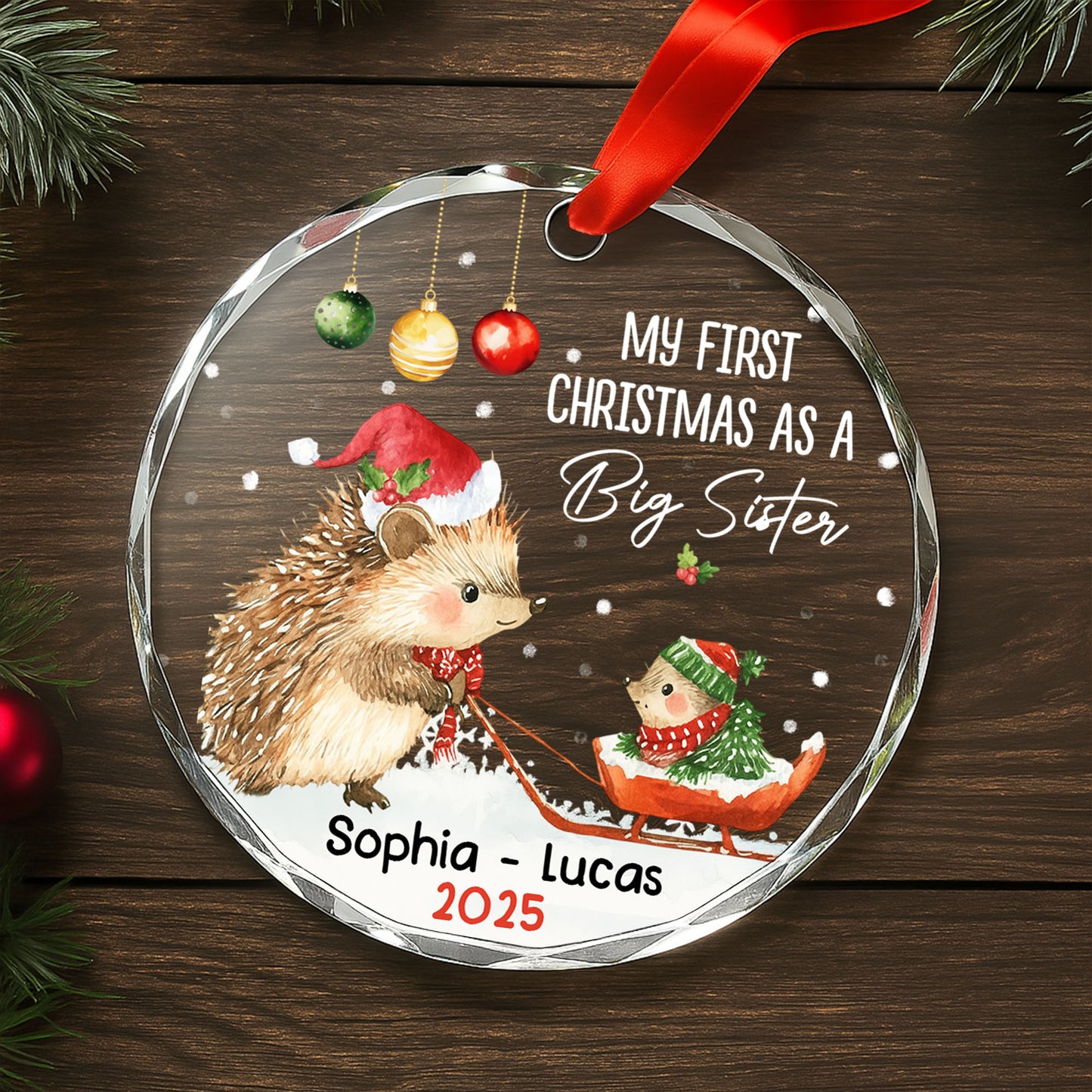 My First Christmas As A Big Sister With Hedgehogs