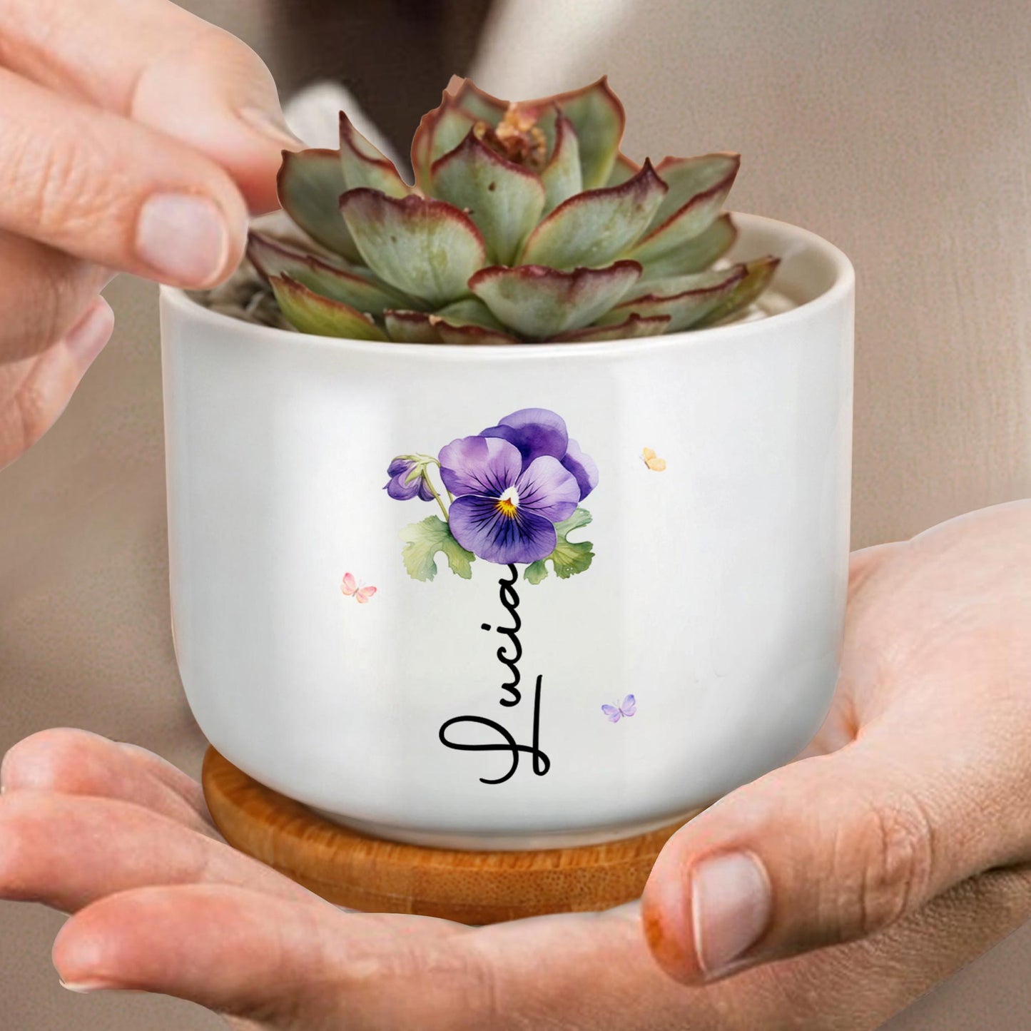 To My Granddaughter, Pansy Flower and Butterflies