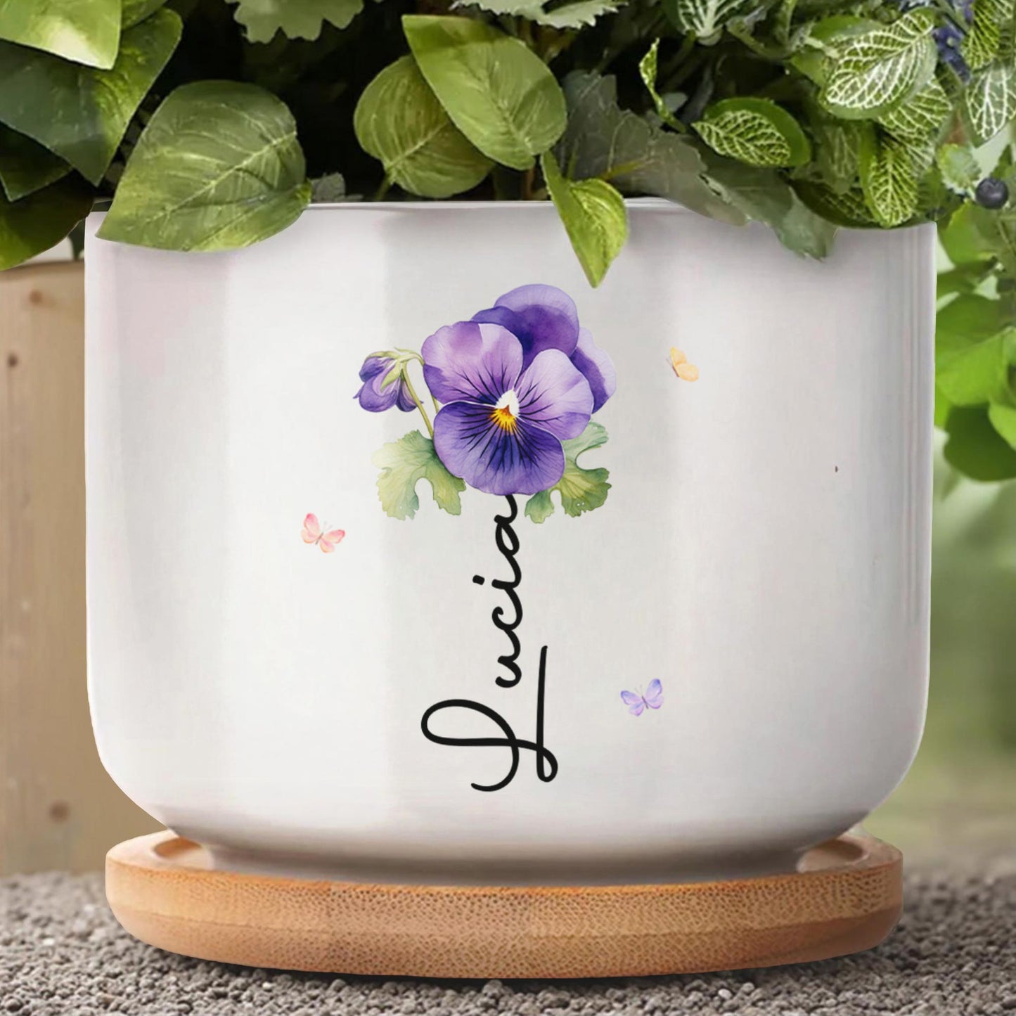 To My Granddaughter, Pansy Flower and Butterflies