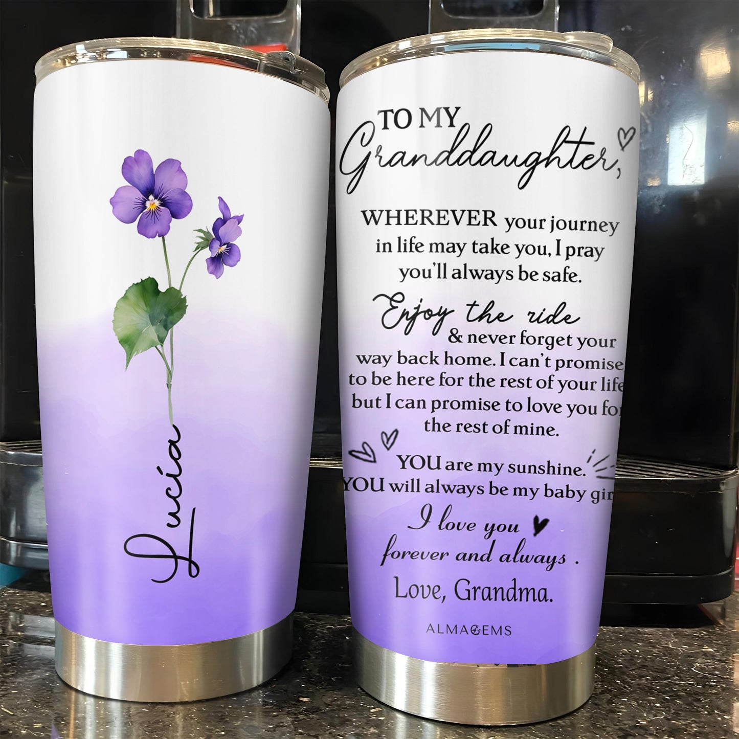 To My Granddaughter, Enjoy The Ride, You Are My Sunshine