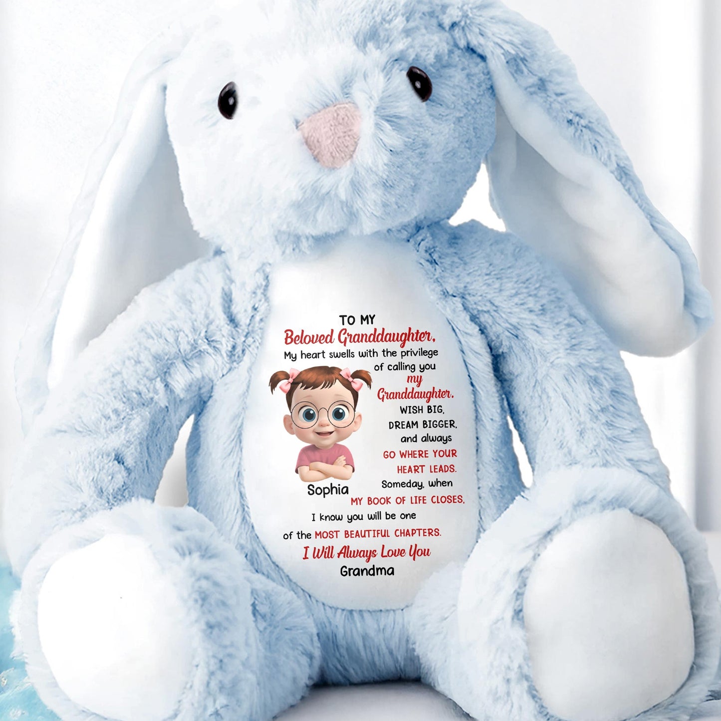 To My Beloved Granddaughter, Wish Big, Dream Bigger, Stuffed Bunny