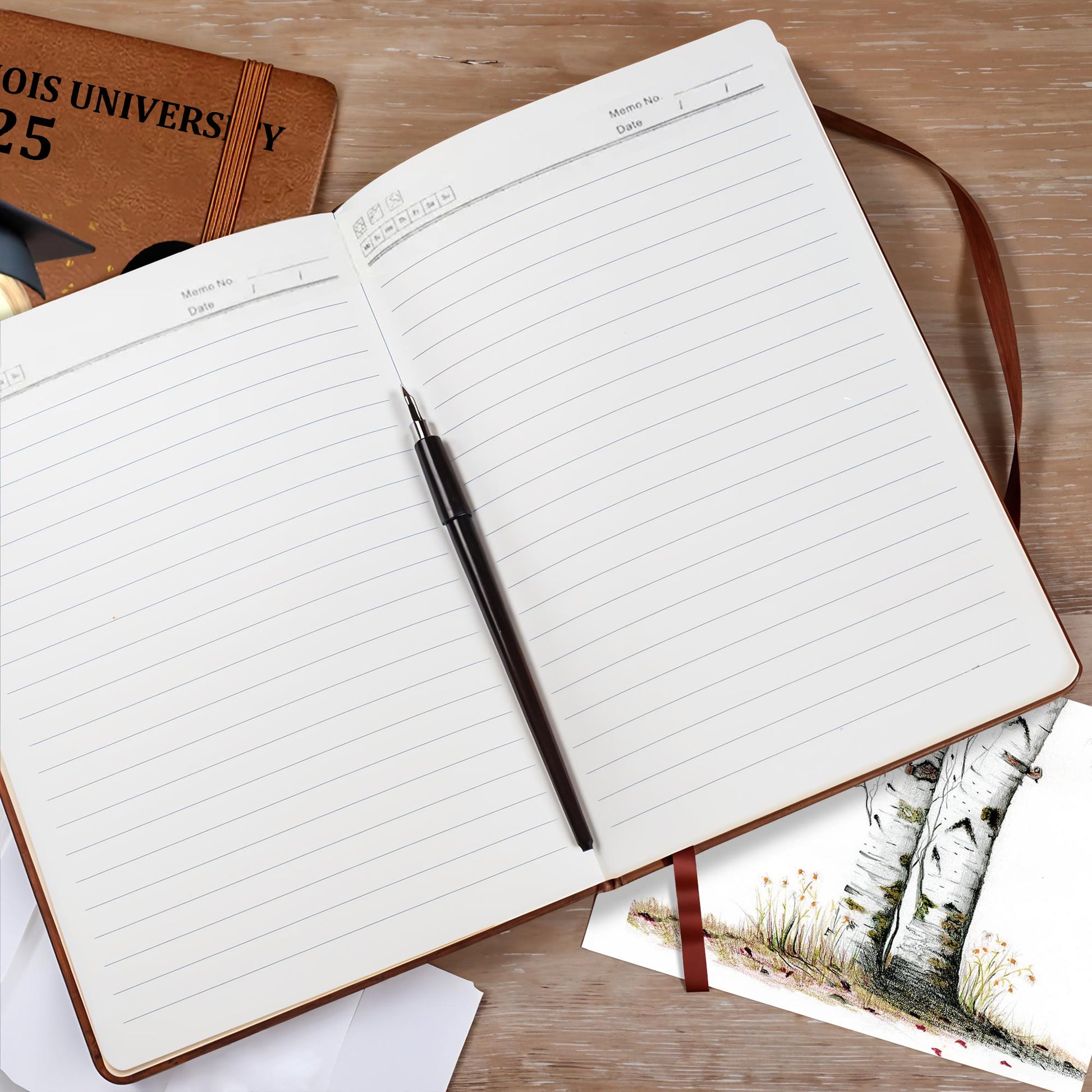 Northern Illinois University 2025, Graduation Cap and Balloons