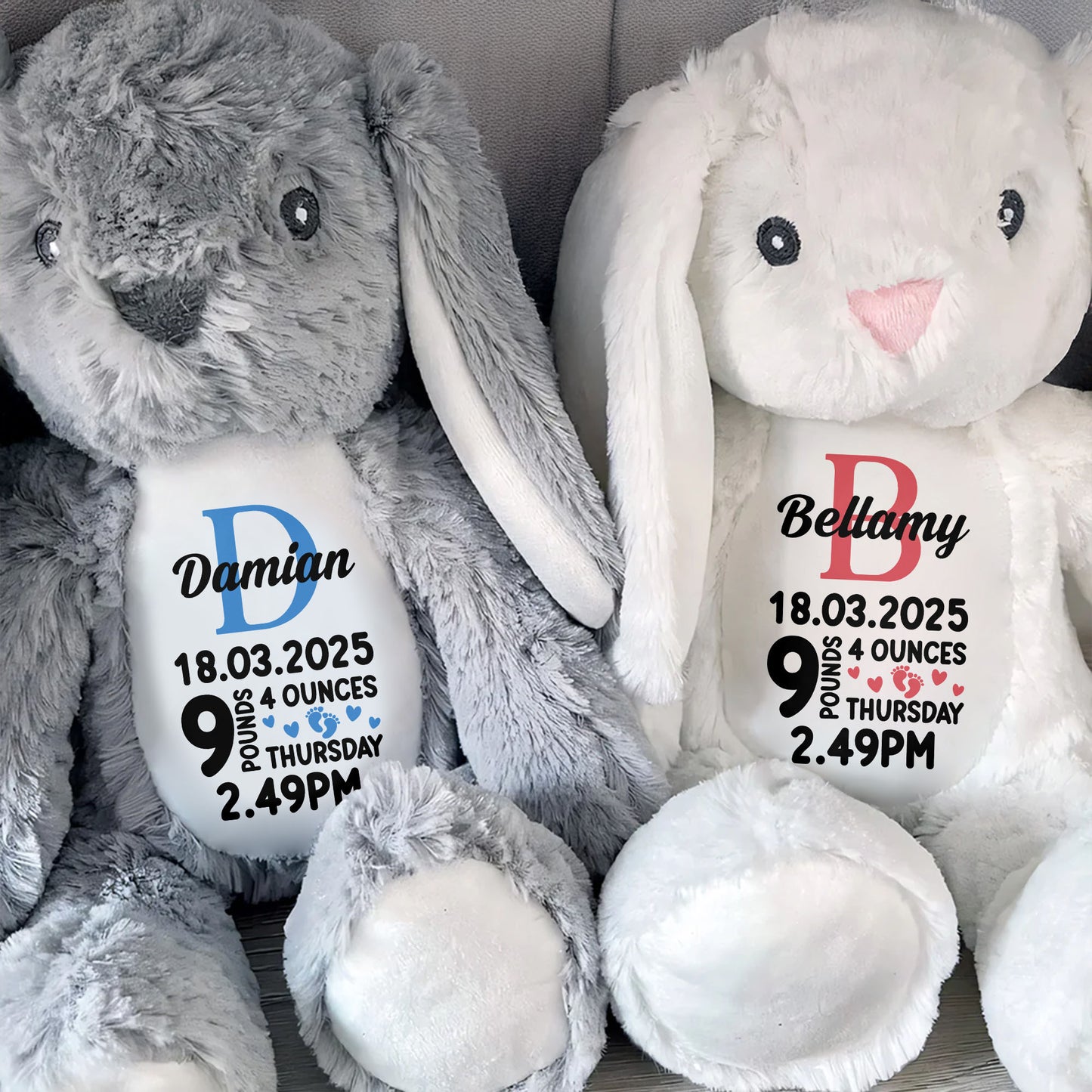 Bellamy 18.03.2025 9 Pounds 4 Ounces Thursday 2.49 PM, Stuffed Bunny