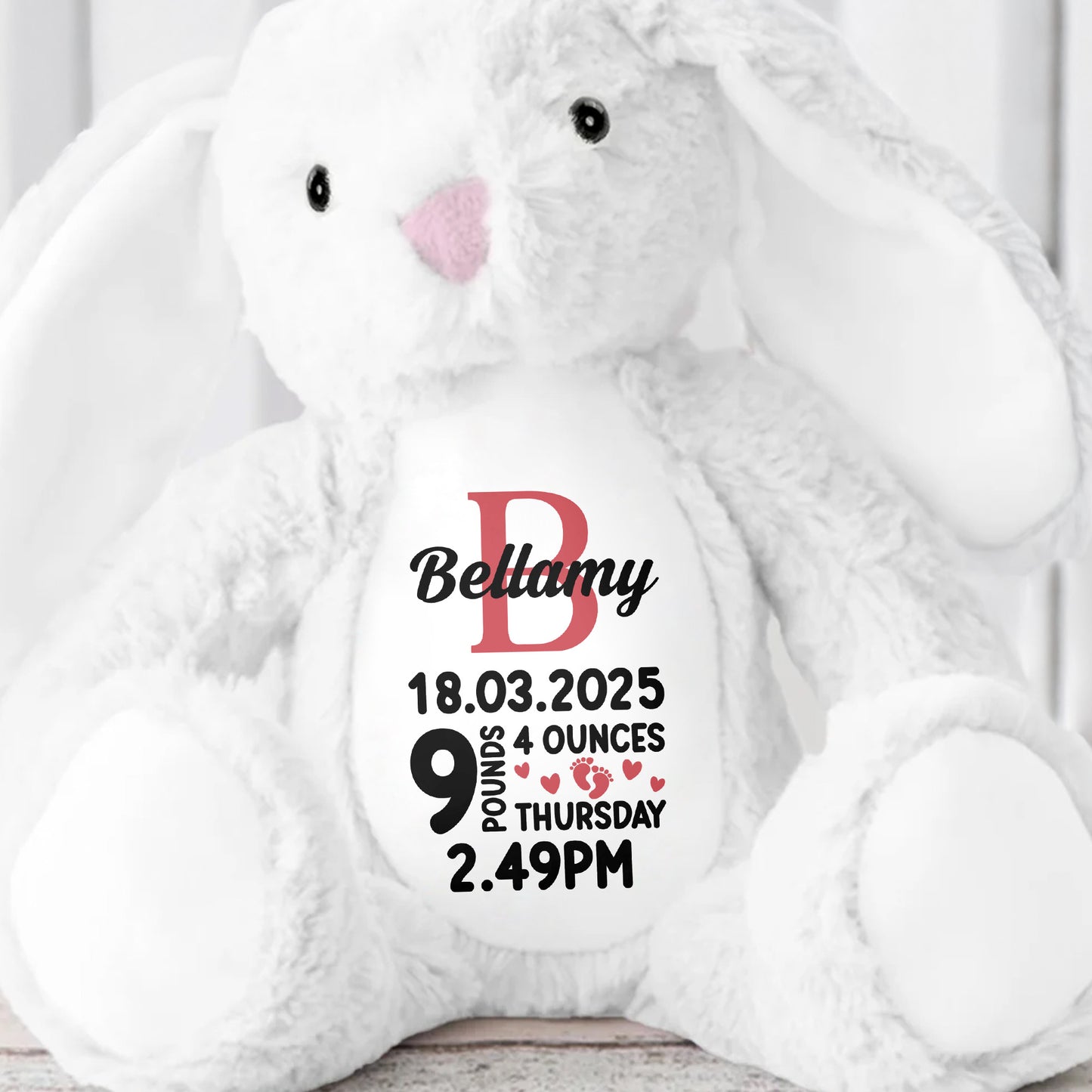Bellamy 18.03.2025 9 Pounds 4 Ounces Thursday 2.49 PM, Stuffed Bunny