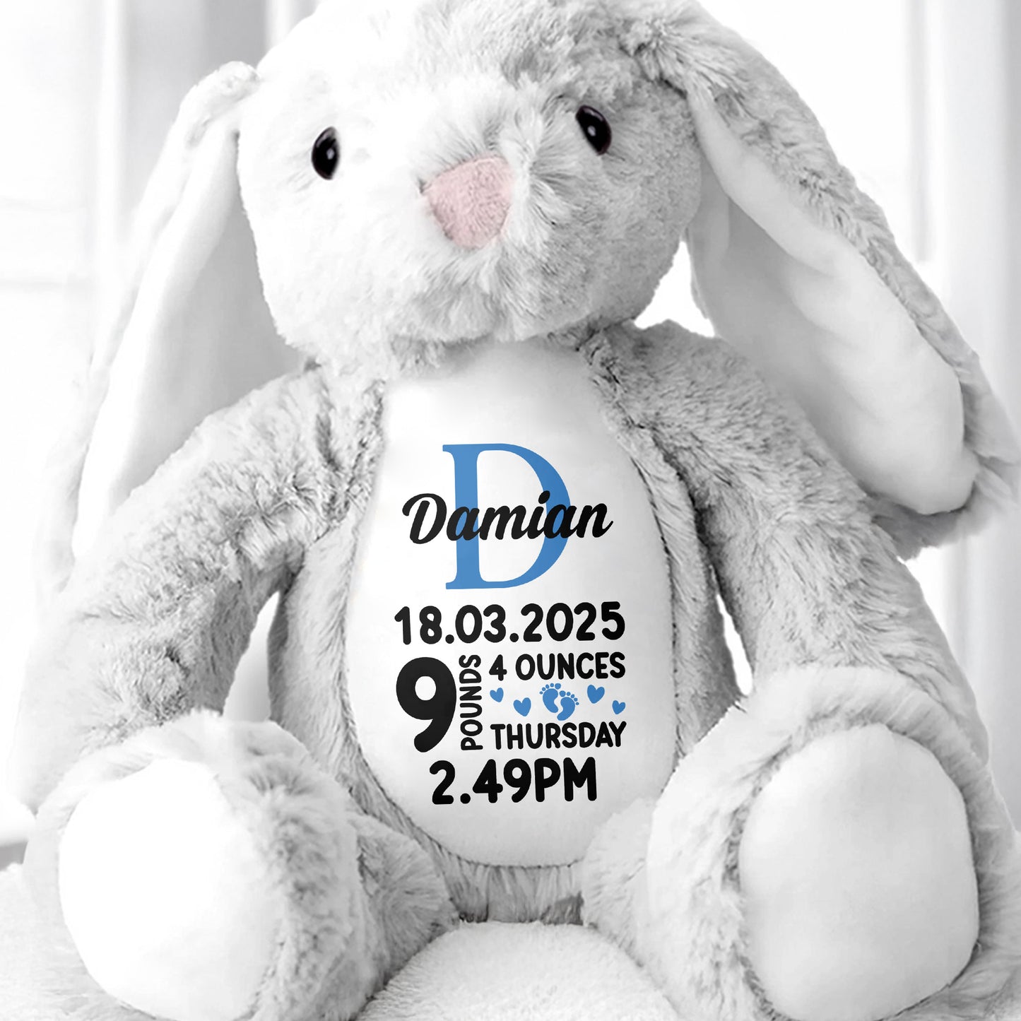 Bellamy 18.03.2025 9 Pounds 4 Ounces Thursday 2.49 PM, Stuffed Bunny