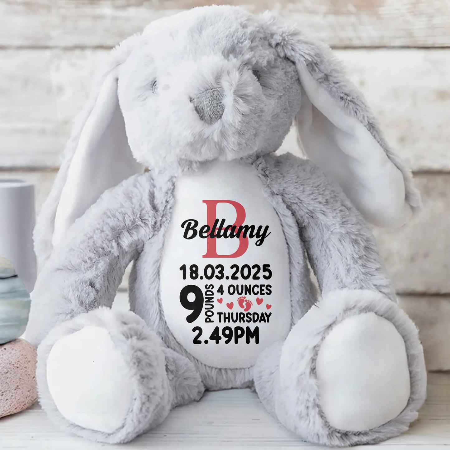 Bellamy 18.03.2025 9 Pounds 4 Ounces Thursday 2.49 PM, Stuffed Bunny