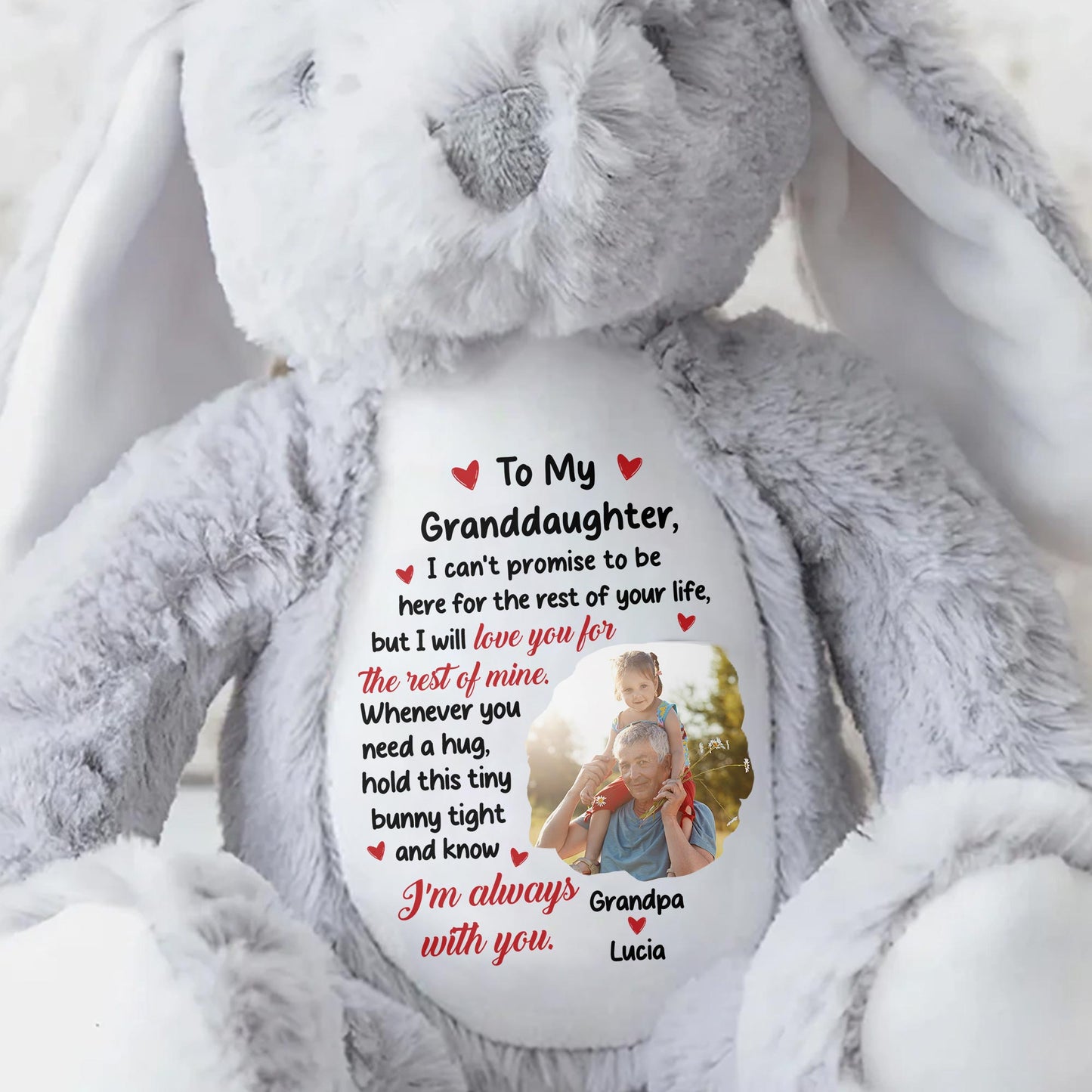 To My Granddaughter, I Can't Promise To Be Here, Stuffed Bunny