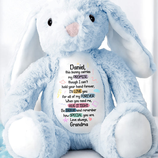 This Bunny Carries My Promise, Love You Forever