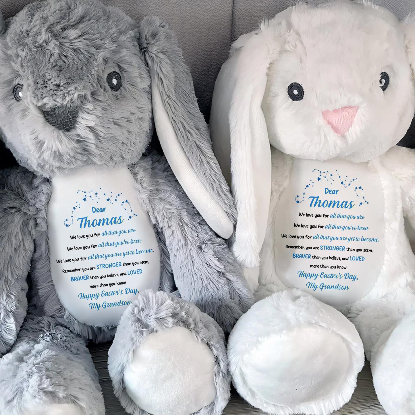 Dear Thomas, We Love You For All That You Are, Stuffed Bunny