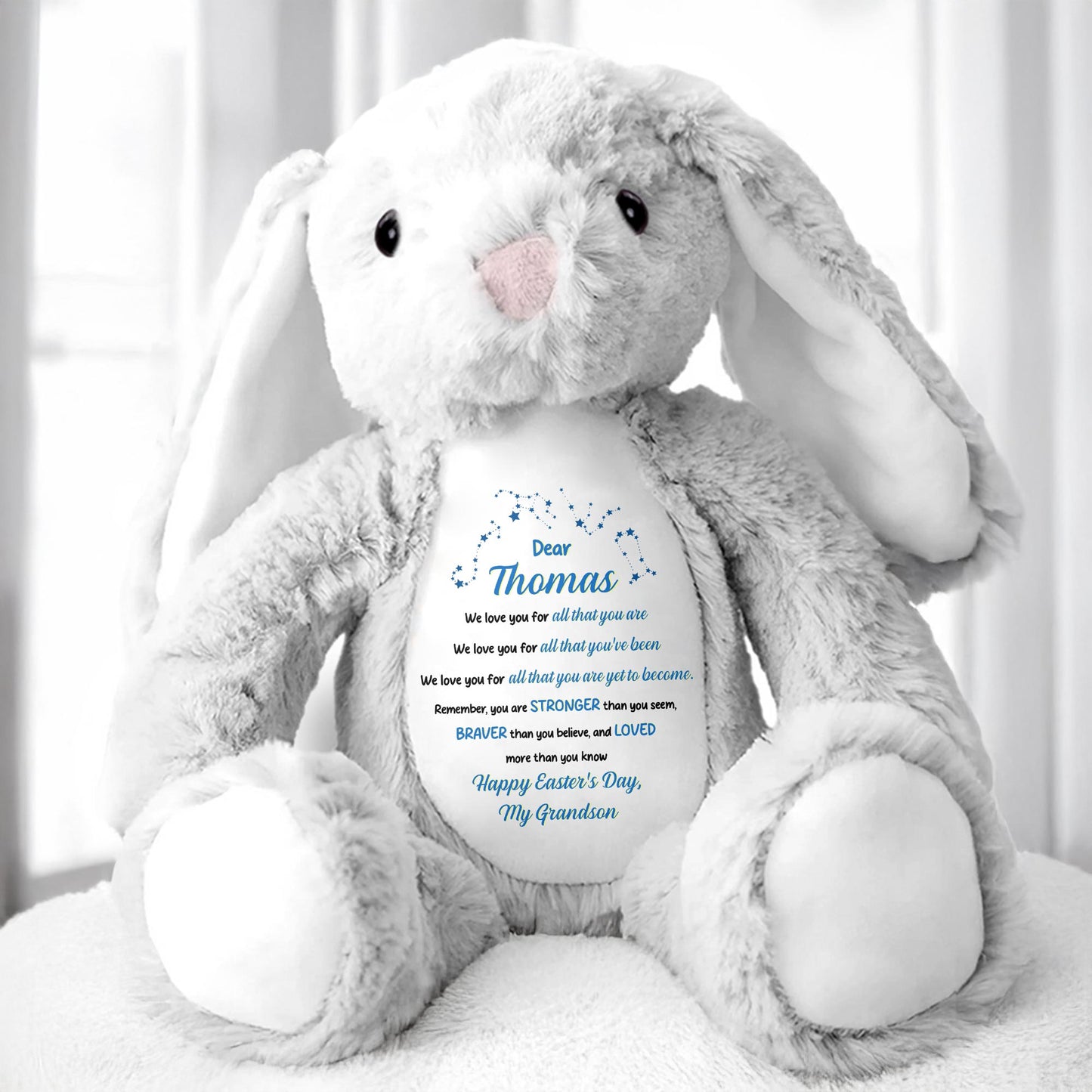 Dear Thomas, We Love You For All That You Are, Stuffed Bunny
