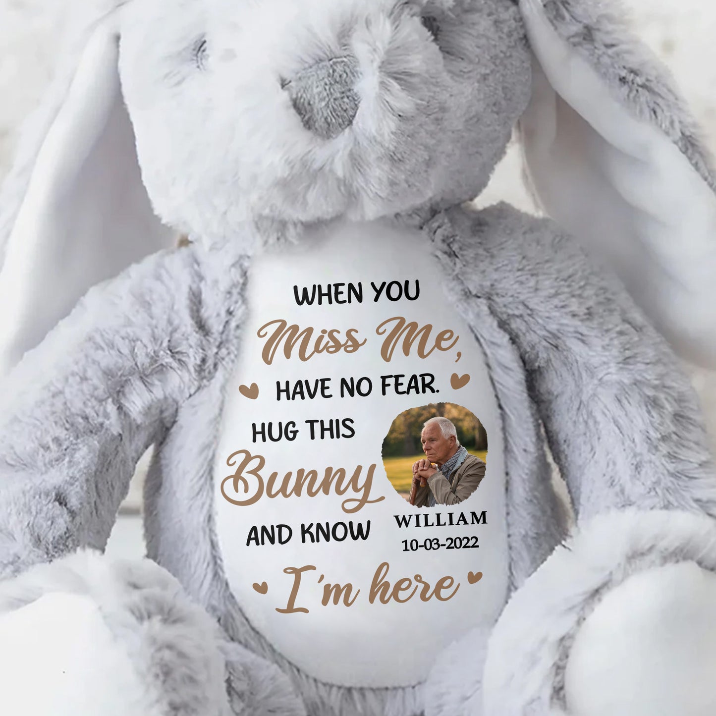 When You Miss Me, Have No Fear, Hug This Bunny