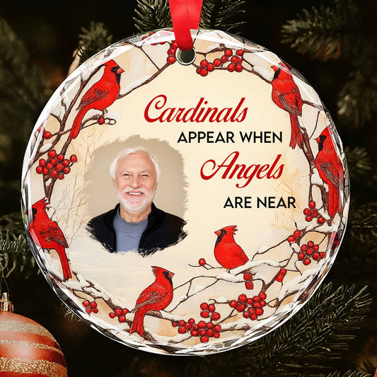 Cardinals Appear When Angels Are Near