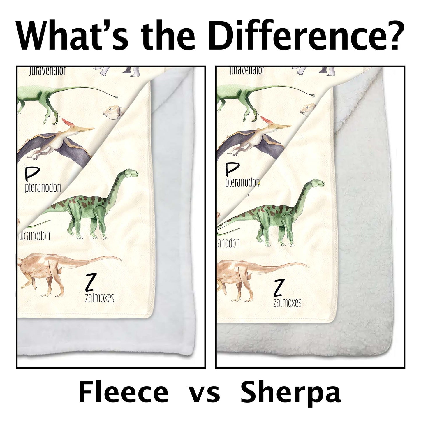 Dinosaur Alphabet Educational Blanket - Personalized Custom Blanket - KID229_BLK