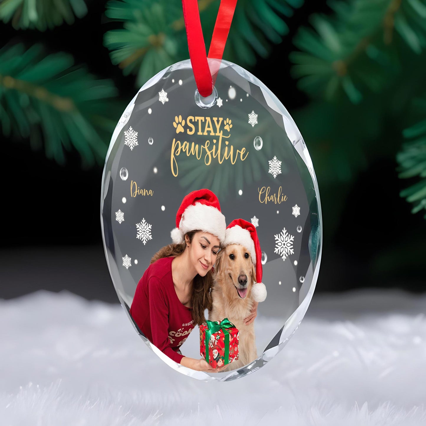 Stay Pawsitive Circle Glass Ornament With Dog