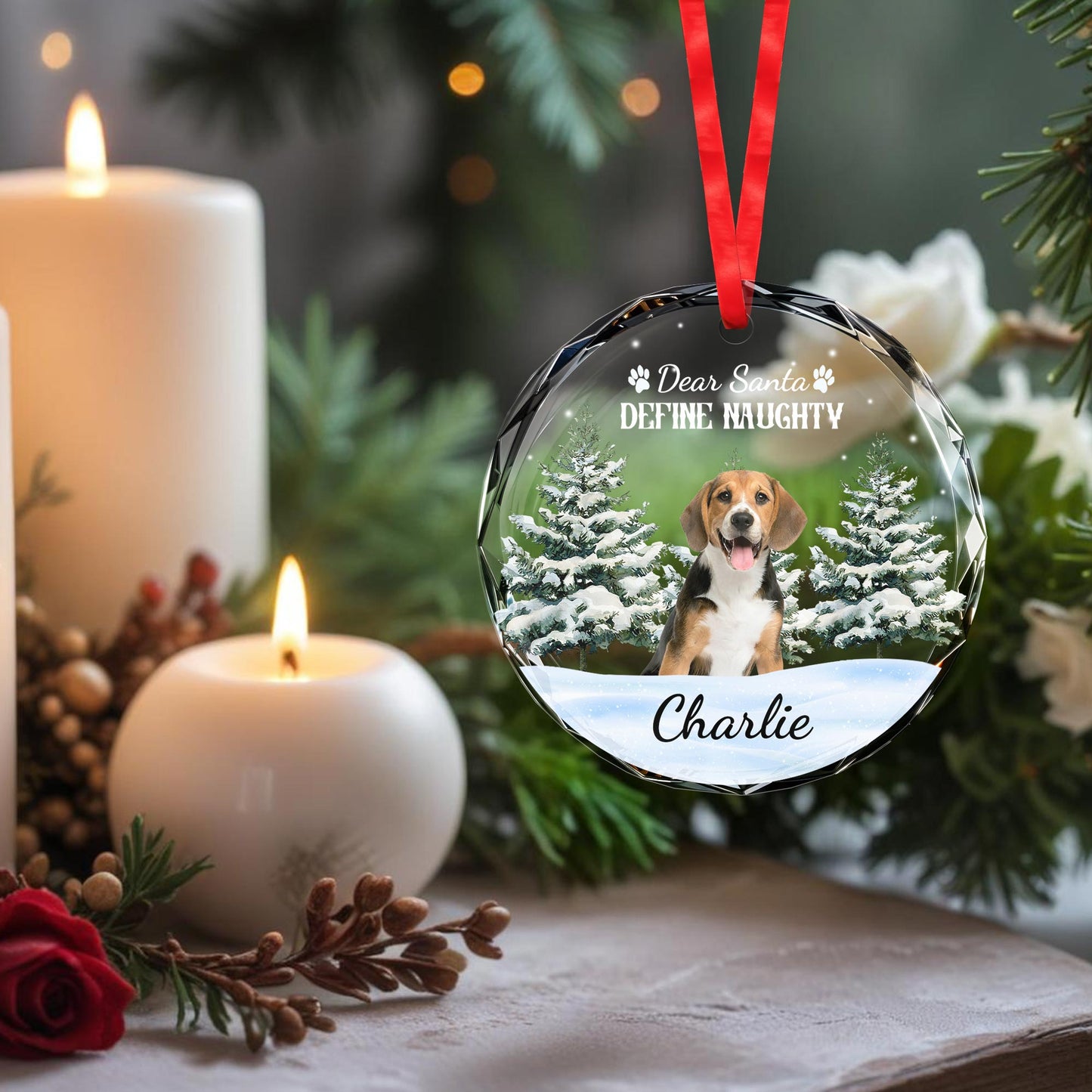 Dear Santa Define Naughty With Cute Dog and Snow Scene