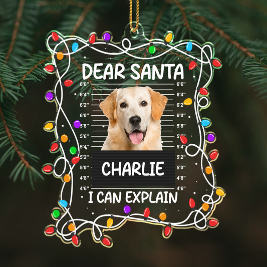 Dear Santa I Can Explain, Gift For Dog Lovers
