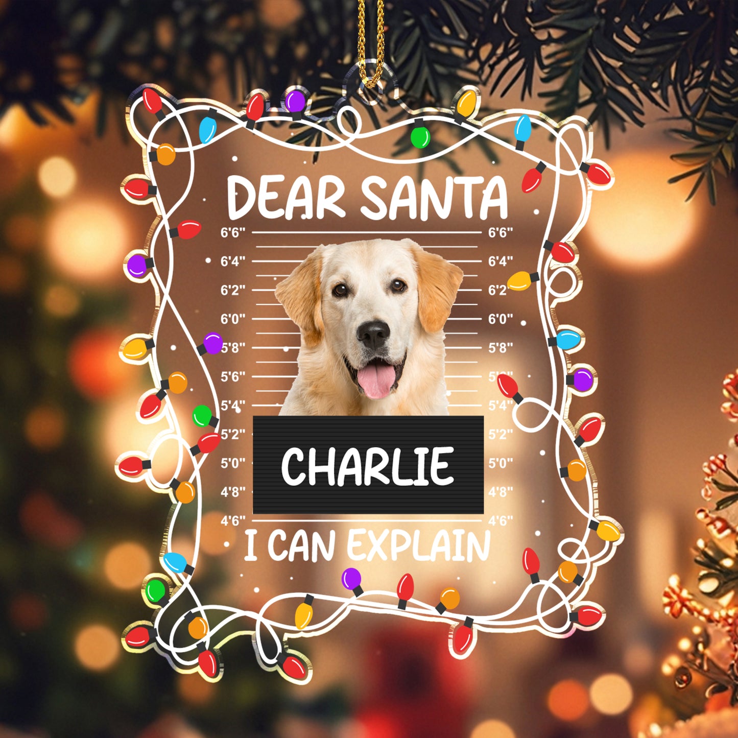Dear Santa I Can Explain, Gift For Dog Lovers