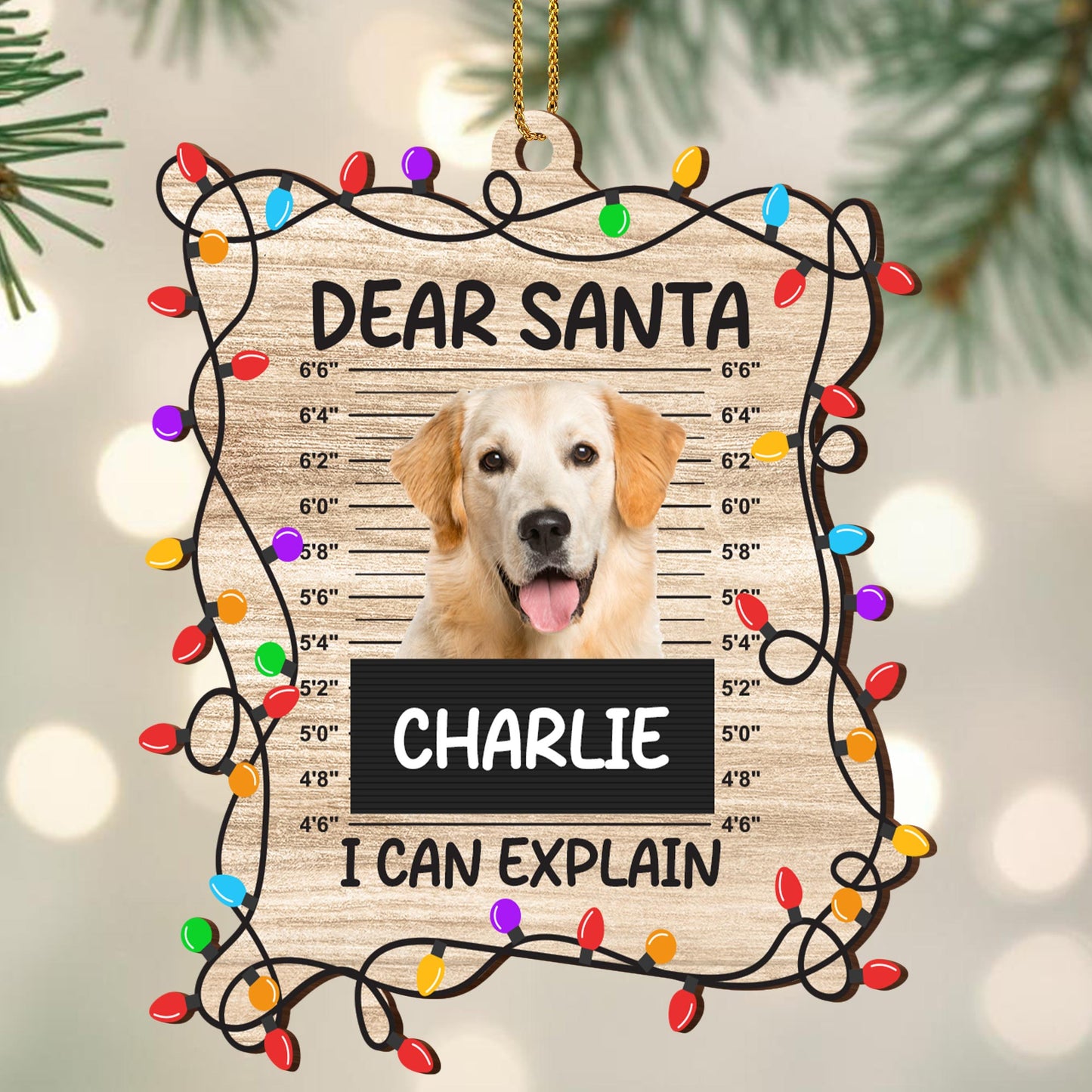 Dear Santa I Can Explain Dog Christmas Ornament