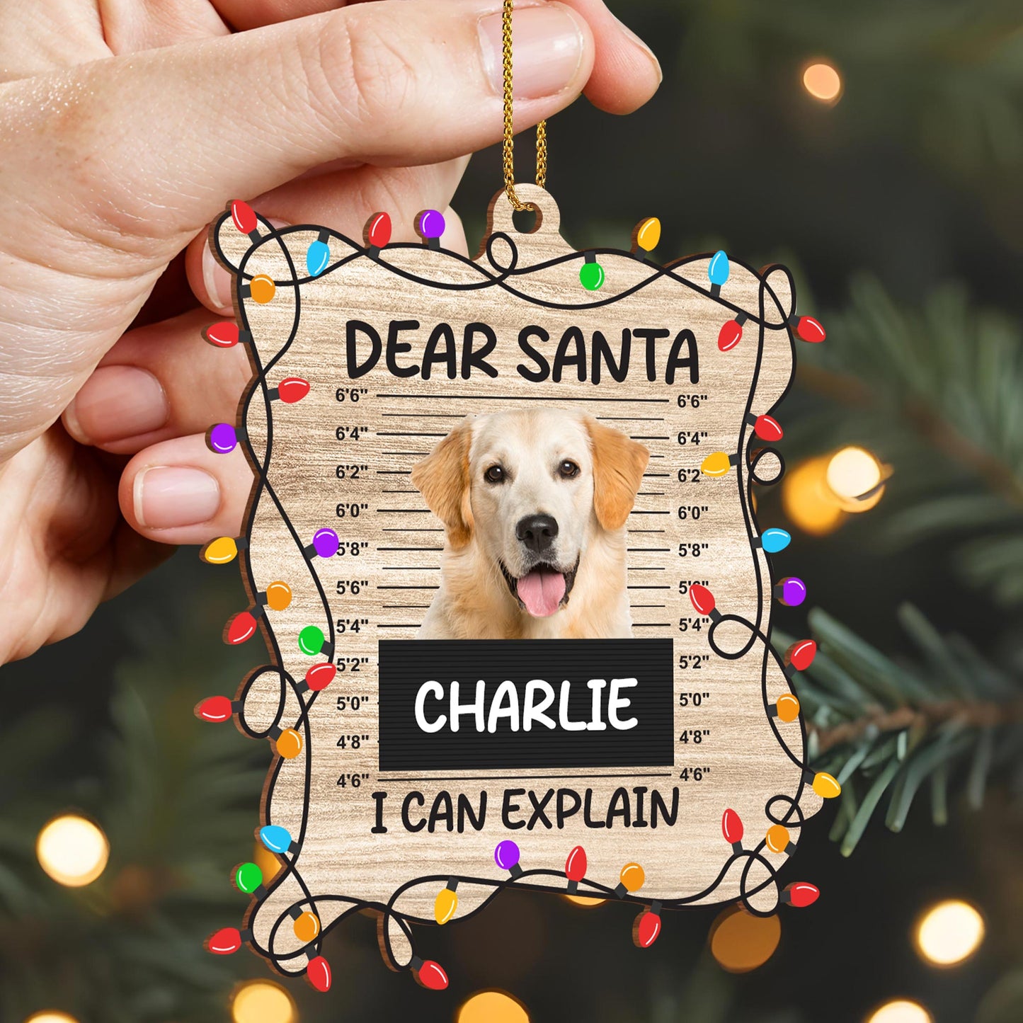 Dear Santa I Can Explain Dog Christmas Ornament