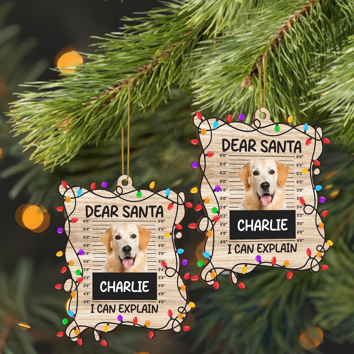Dear Santa I Can Explain Dog Christmas Ornament