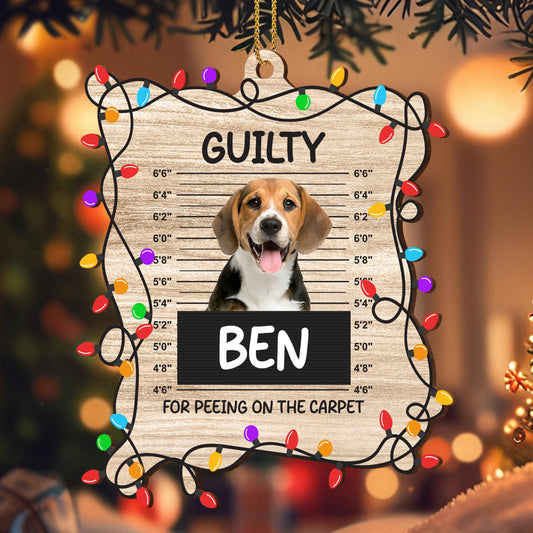 Guilty For Peeing On The Carpet Ornament With Dog