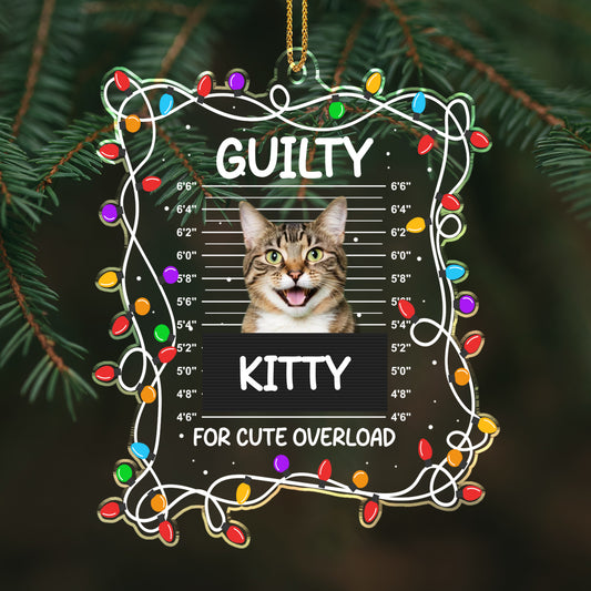Guilty Kitty For Cute Overload With Christmas Lights