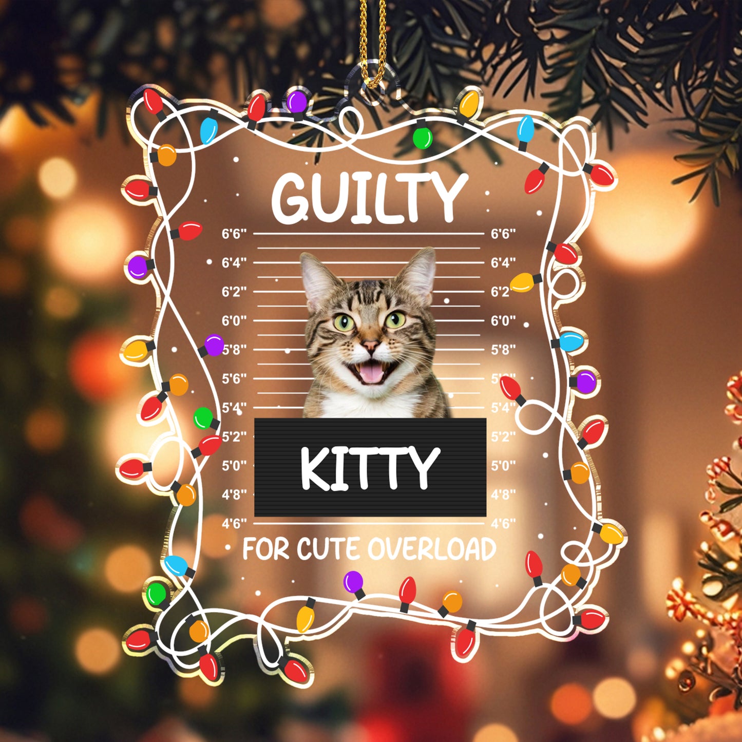 Guilty Kitty For Cute Overload With Christmas Lights