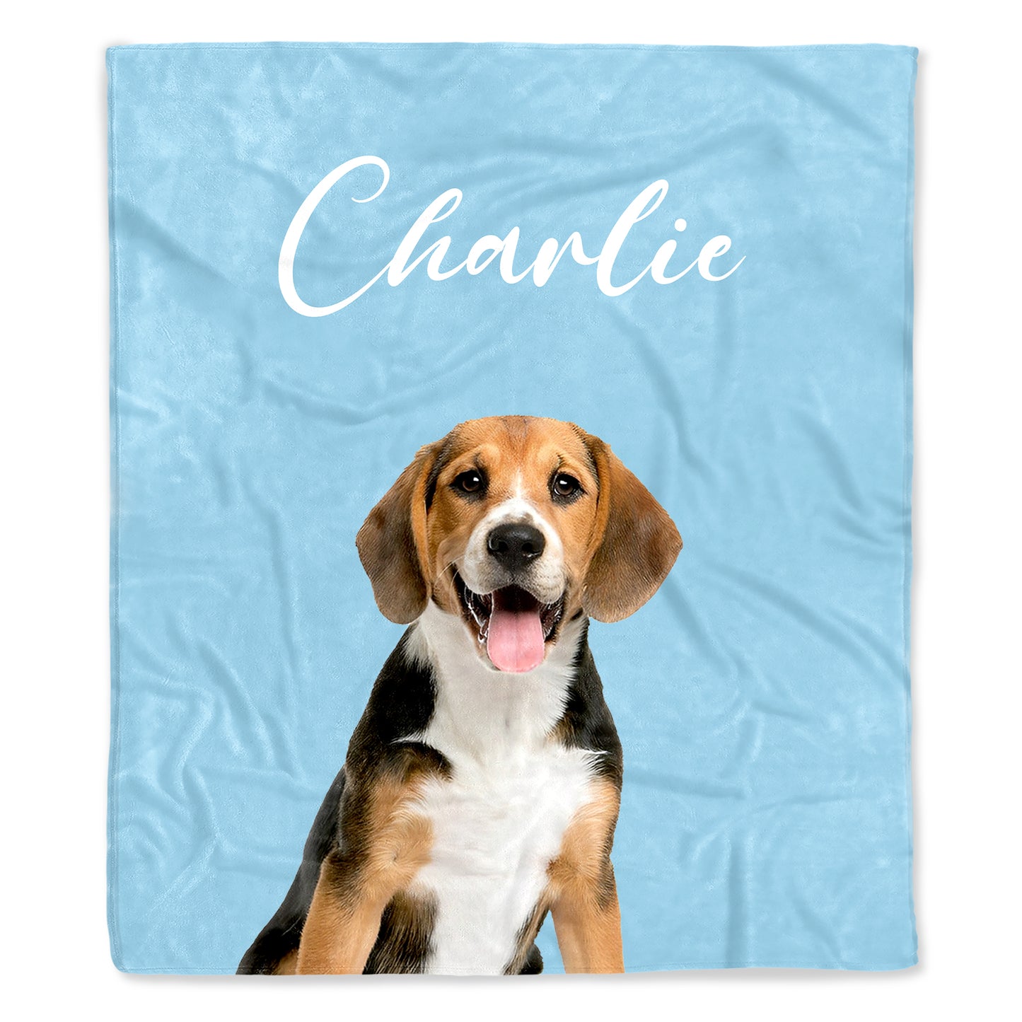 Capture Your Pet's Personality In A Beautiful Keepsake