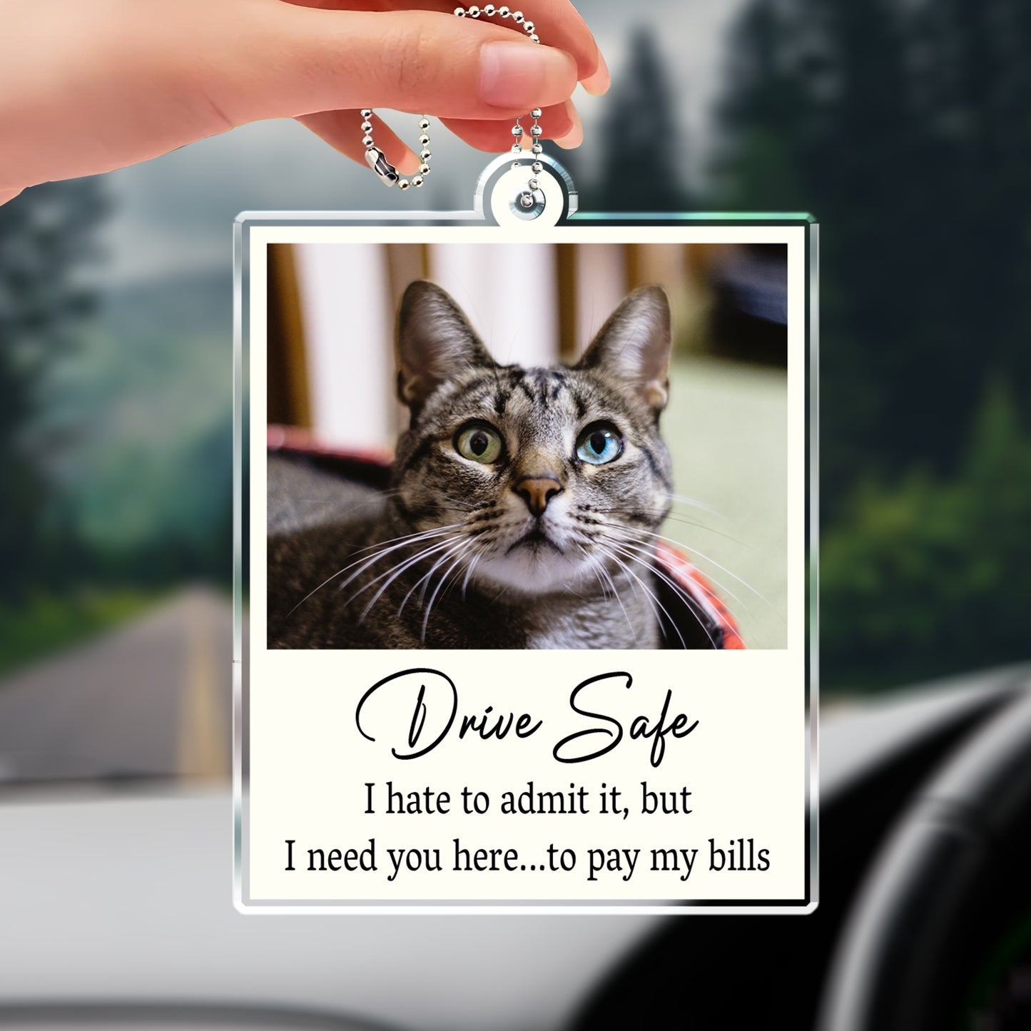 Drive Safe I Need You Here Quote With Cat Image