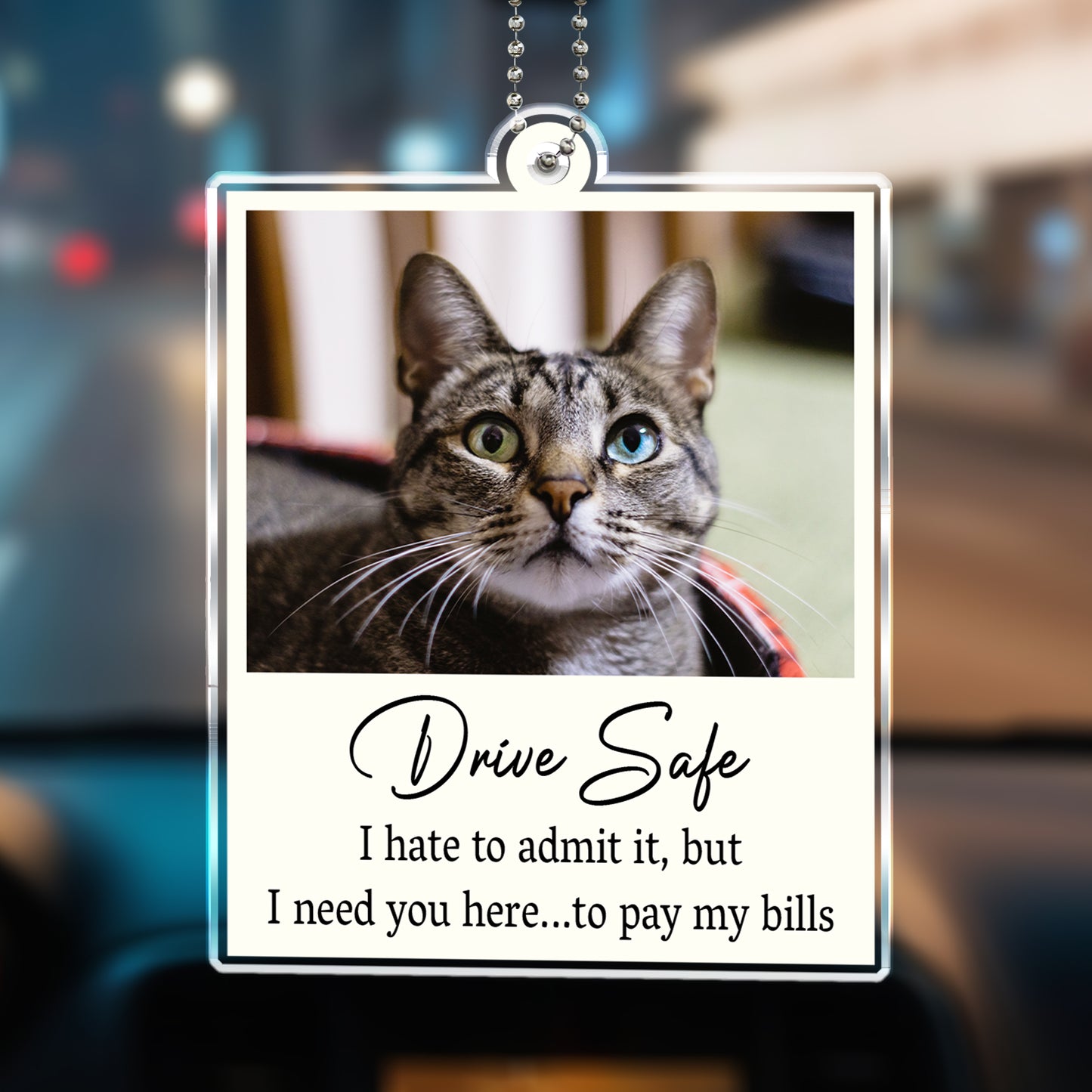 Drive Safe I Need You Here Quote With Cat Image