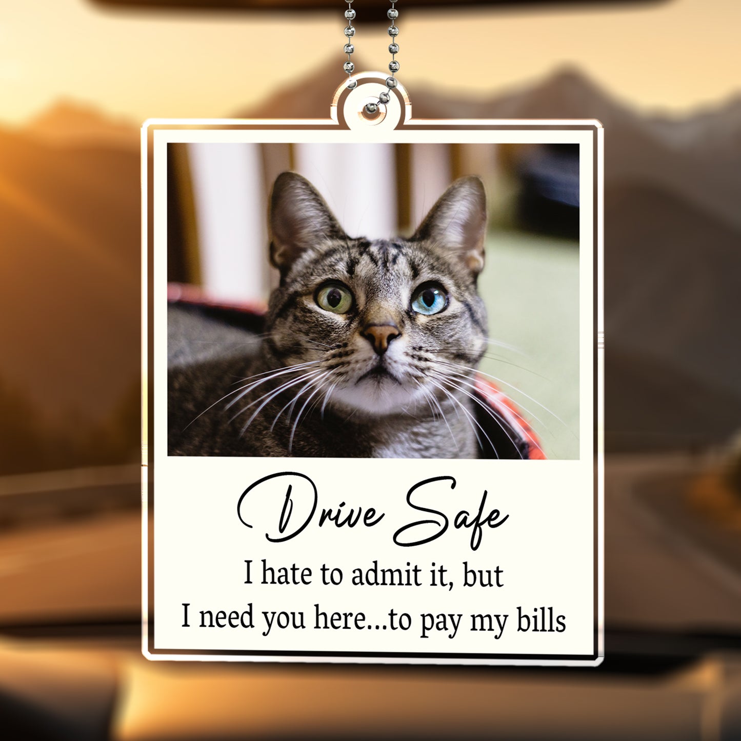Drive Safe I Need You Here Quote With Cat Image