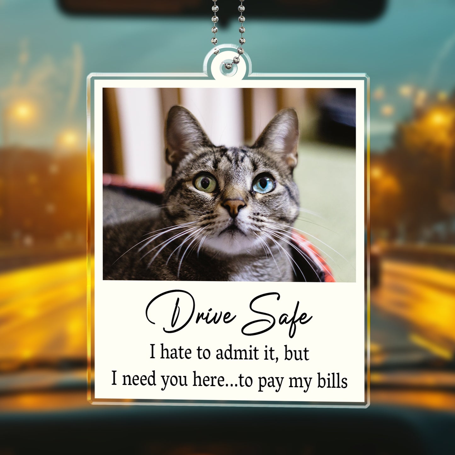 Drive Safe I Need You Here Quote With Cat Image