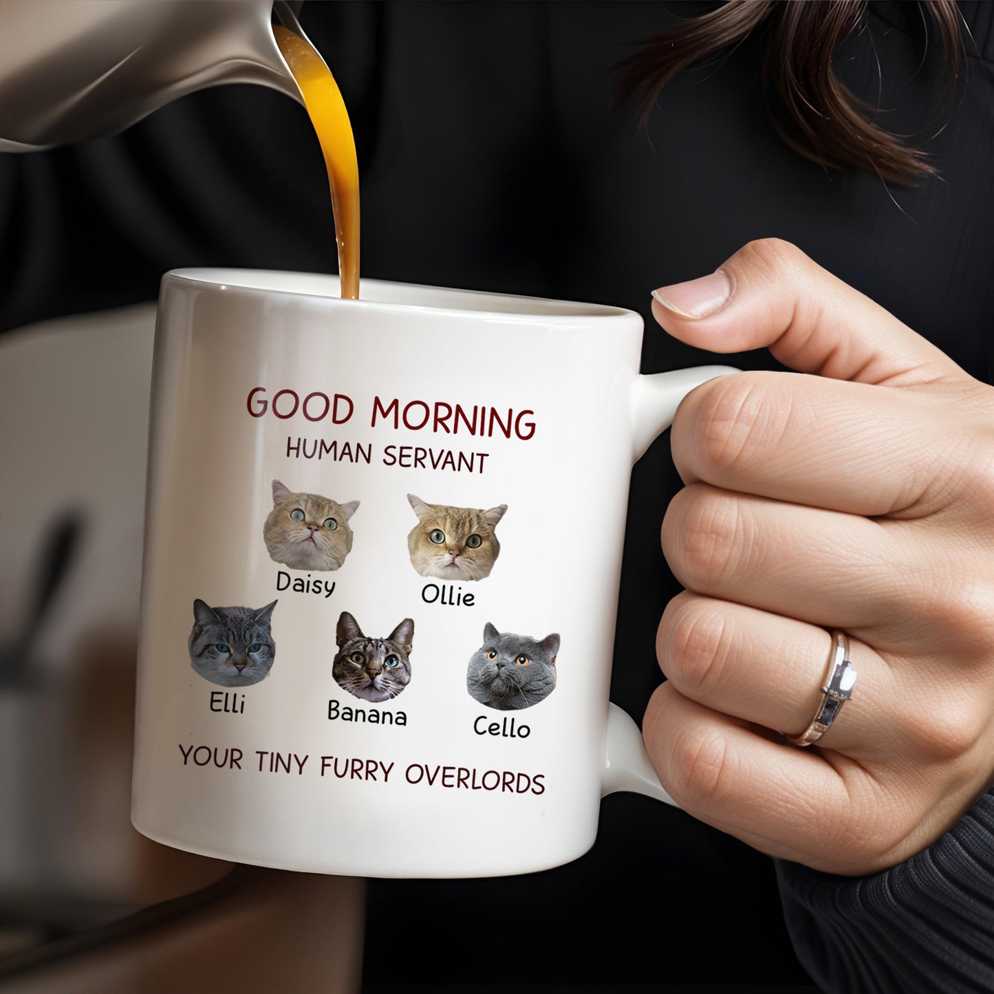 Good Morning Human Servant Your Tiny Furry Overlords Mug