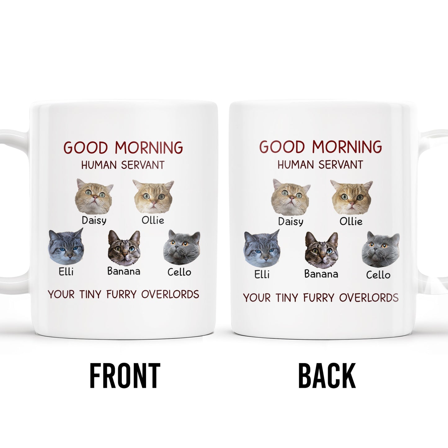 Good Morning Human Servant Your Tiny Furry Overlords Mug