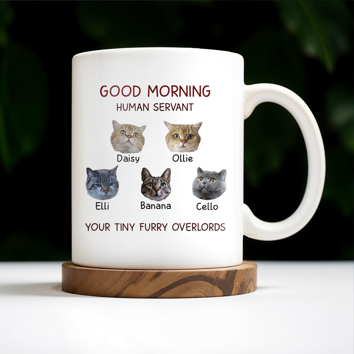 Good Morning Human Servant Your Tiny Furry Overlords Mug