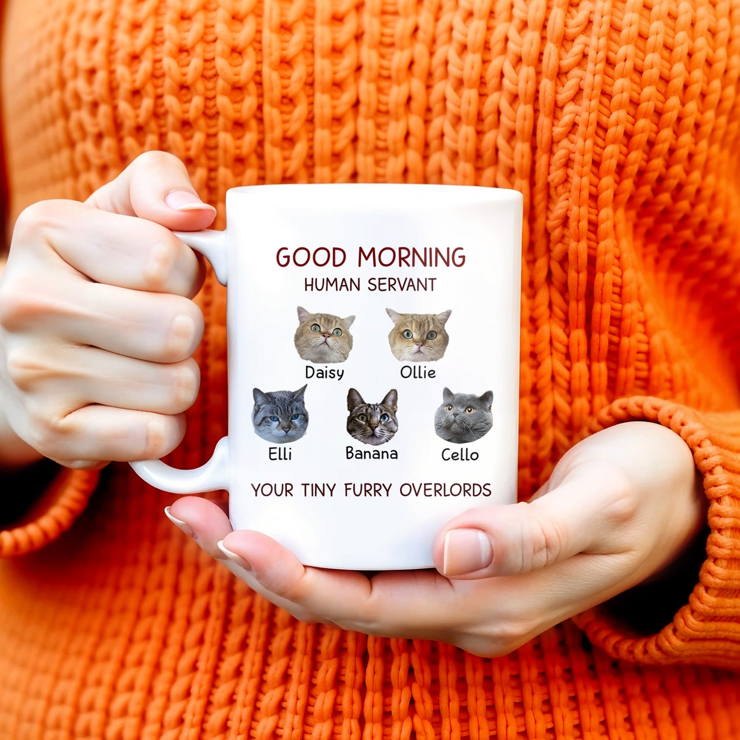 Good Morning Human Servant Your Tiny Furry Overlords Mug
