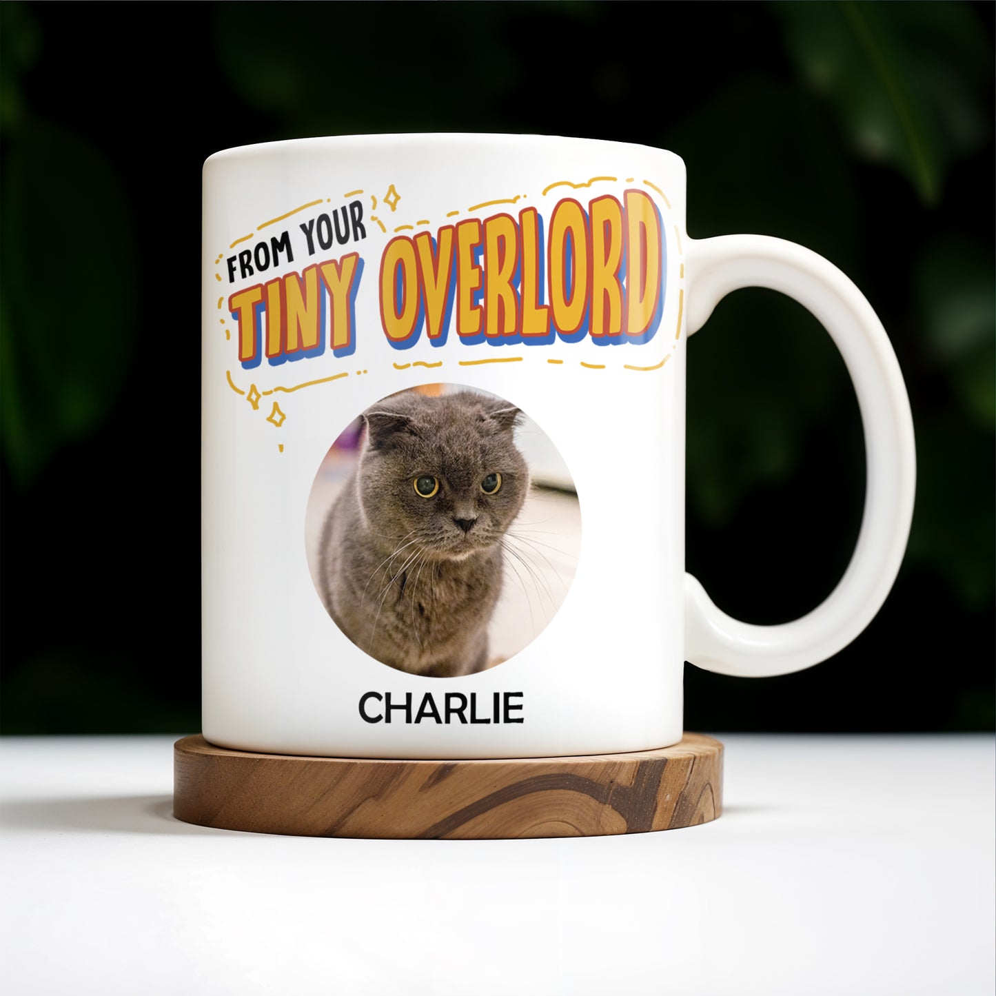 Roses Are Red, Violets Are Blue, I Choose You, Cat Lover Design