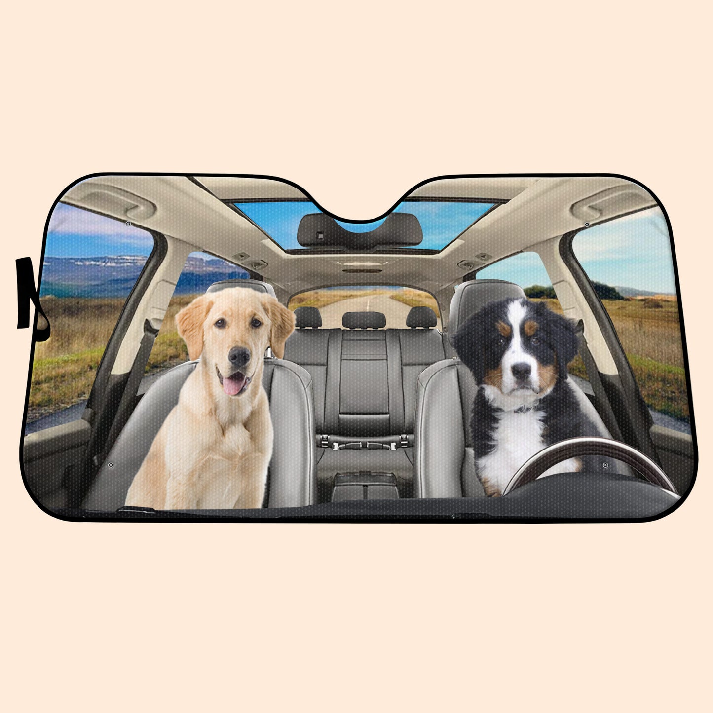 Drive With Your Best Friends In Style, Dogs