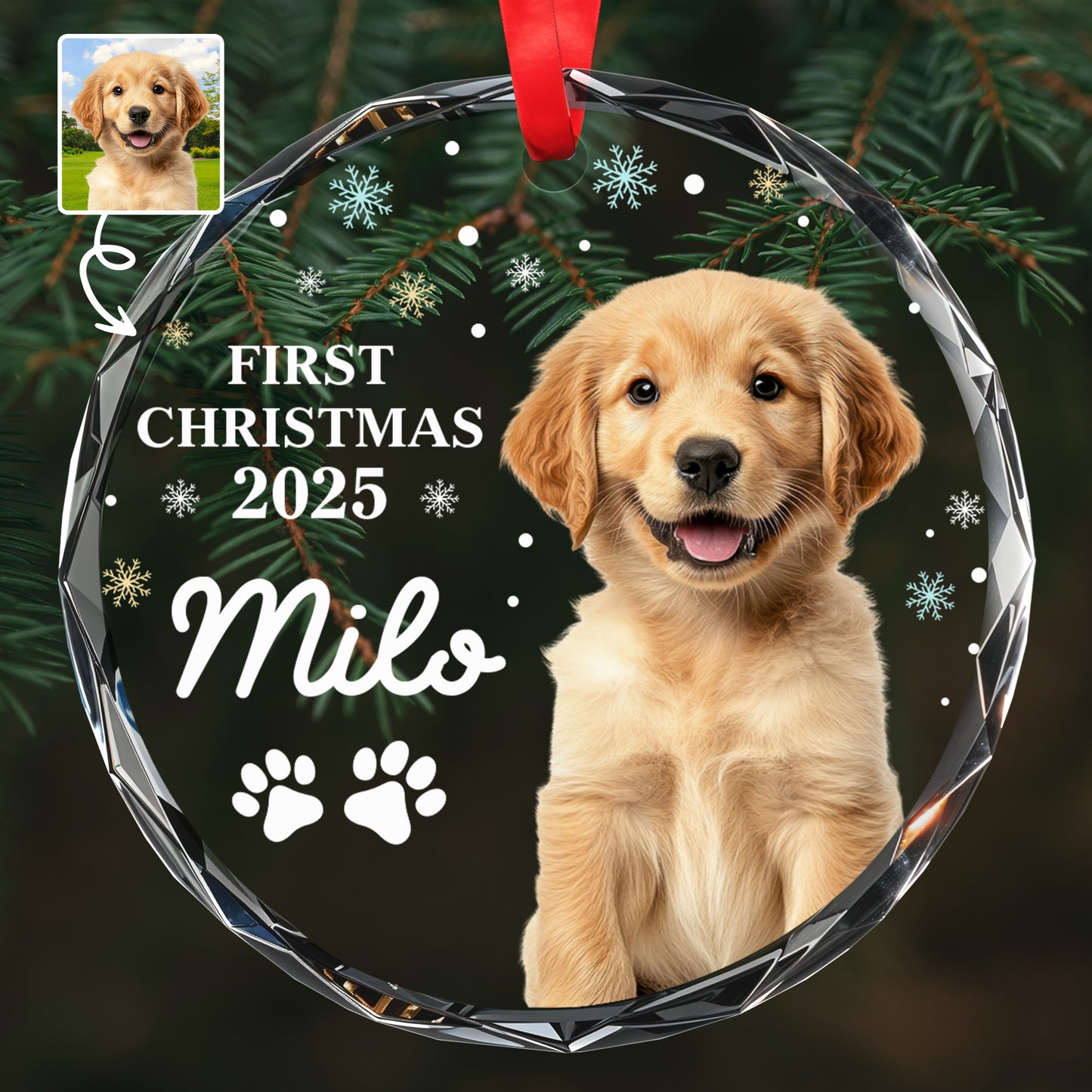 First Christmas With Cute Puppy And Snowflakes