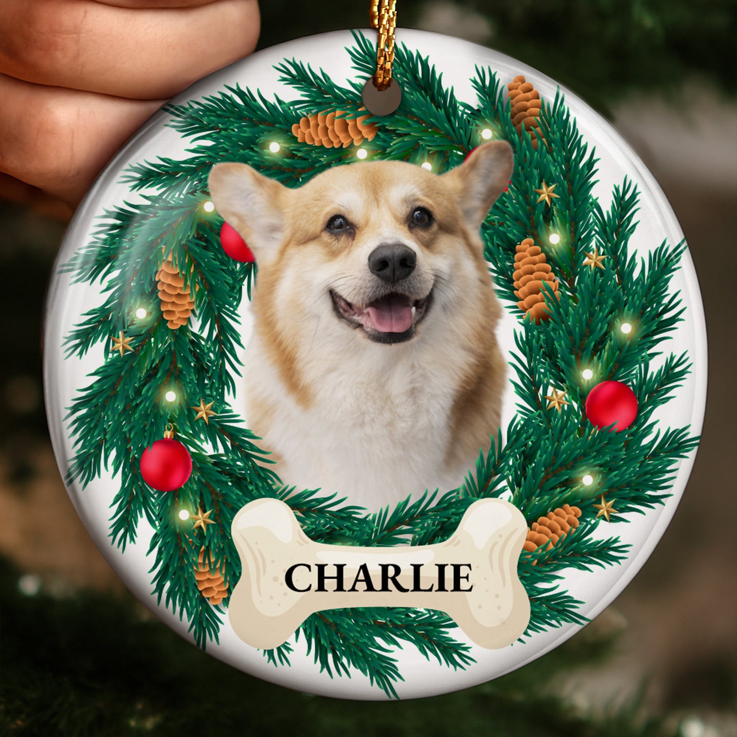 Celebrate With Our Dog Surrounded By Christmas Decor
