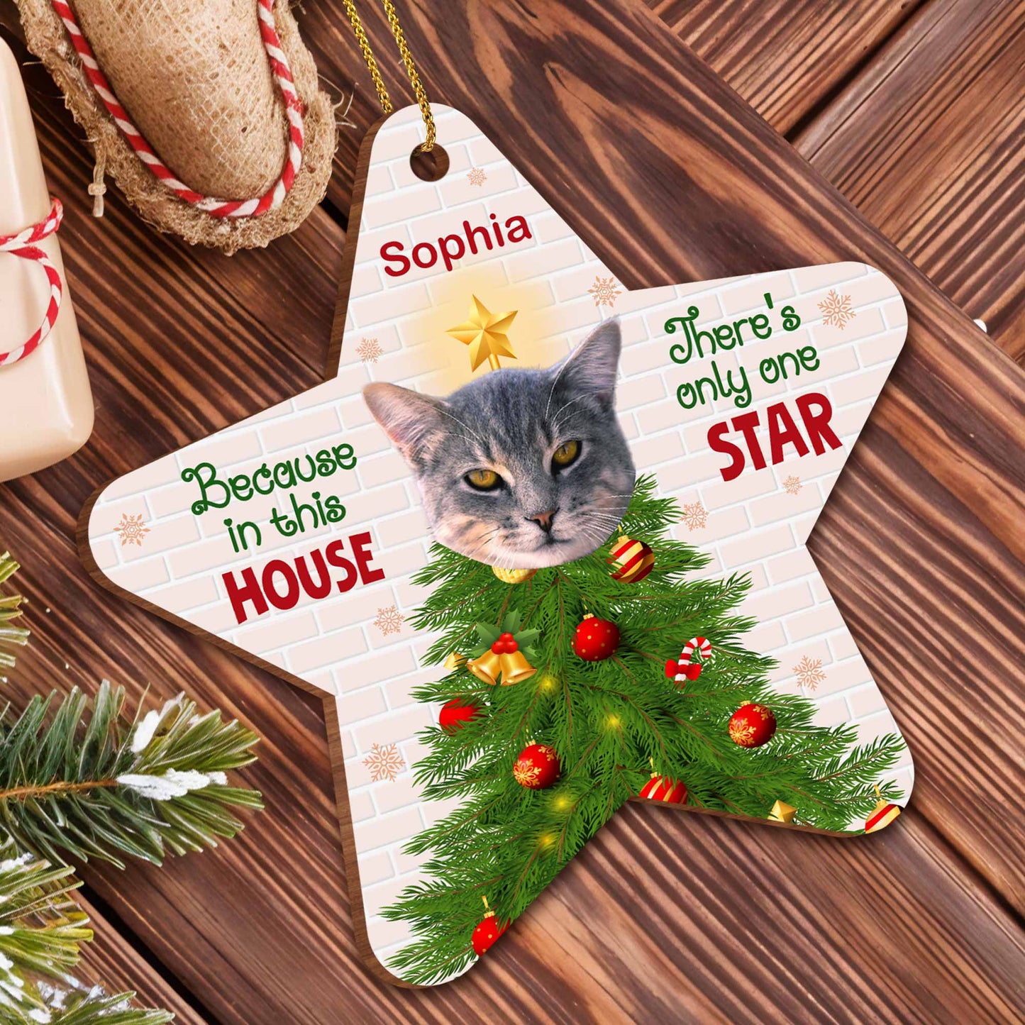 Because In This House, There's Only One Star, Cat And Christmas Tree