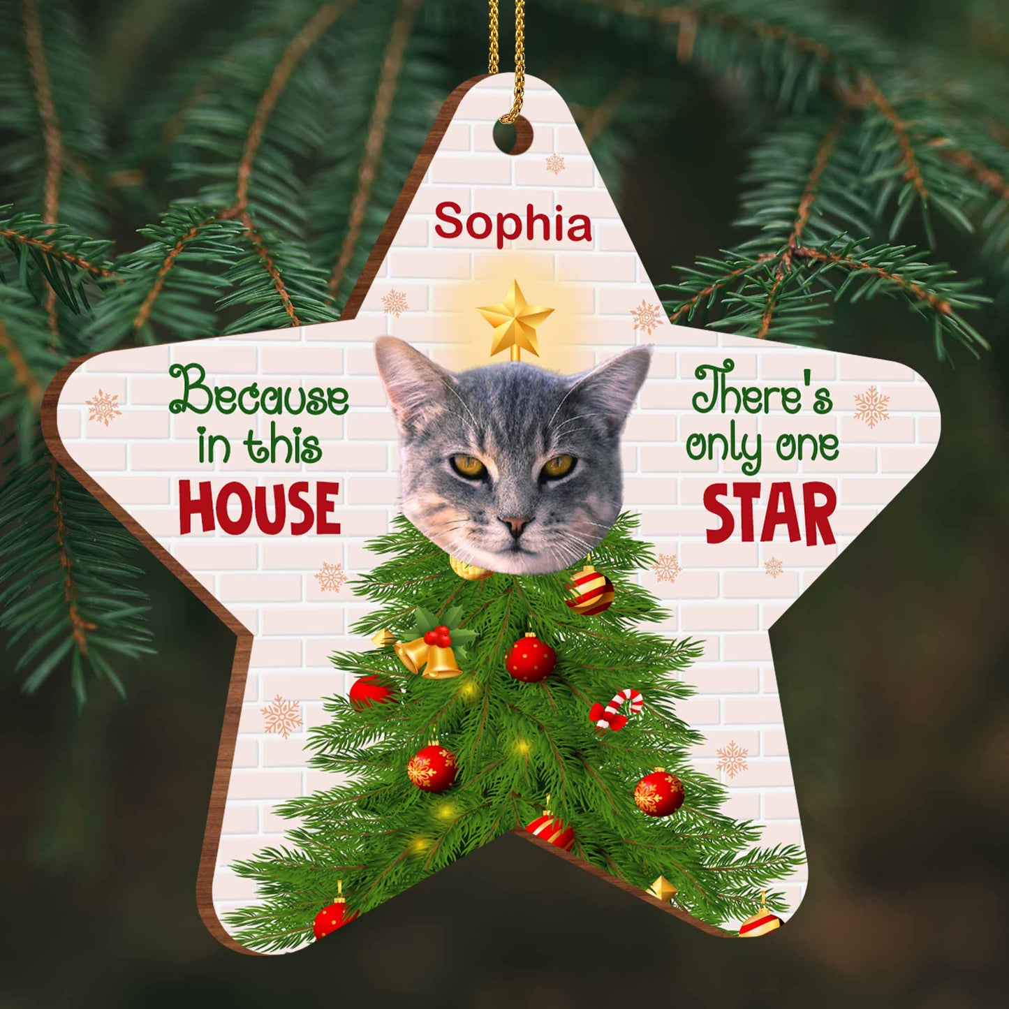 Because In This House, There's Only One Star, Cat And Christmas Tree
